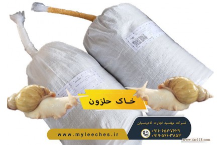 خرید خاک مخصوص حلزون آچاتینا - 2