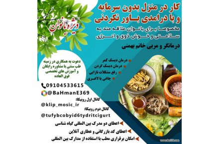 کار در منزل شاد و سالم ویژه بانوان - 1
