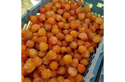 آلوچه دودی و آفتابی آلو شابلن و سانتریزه - 4
