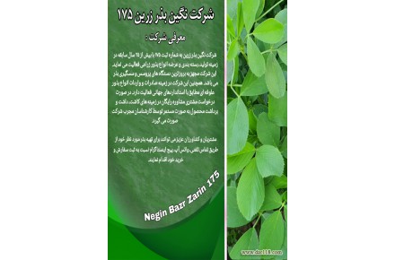 فروش انواع بذر یونجه پایه بلند ، اصلاح شده وخالص  - 2
