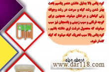 کود پودری 36-12-12