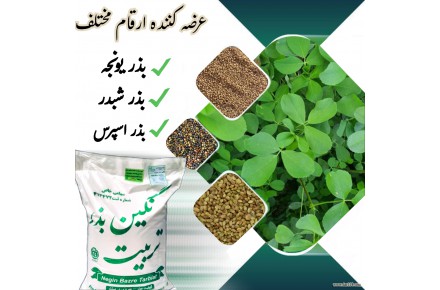 فروش بذر یونجه درجه یک بوجاری شده و سس گیری شده  - 1