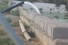 فروش فوری باغ