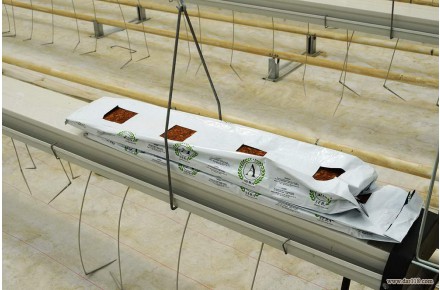 فروش گروبگ (GROW BAG) - 2