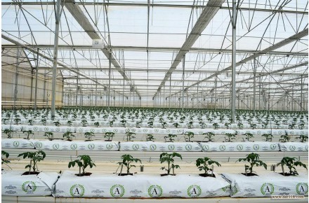 فروش گروبگ (GROW BAG) - 3