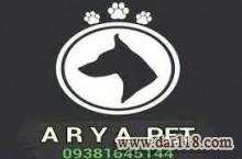 فروش سگ گلدن رتریور در تهران | پانسیون سگ آریا کنل 