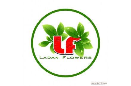 فروش انواع گیاه آپارتمانی - 1