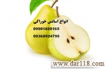 اسانس خوراکی عمده تبریز