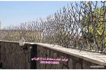 توليد كننده:حفاظ شاخ گوزني - 2