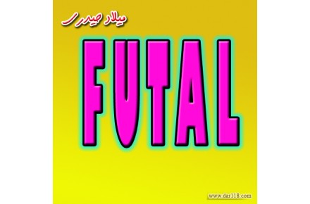 فروش-چشم-دزدگیر-فوتال-پایرونیکس-استیل،بت-چشم خطی-چشم وزنی-چشم بیسیم-دزدگیر،اینکور-DG75-DG85-FUTAL-PYRONIX-STEELBAT-ENCOR - 2