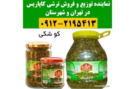 توزیع و پخش ترشی کاپاریس در سراسر تهران و شهرستان - 1