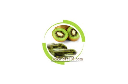دستگاه میوه و سبزی خشک کن پارس درایر - 3