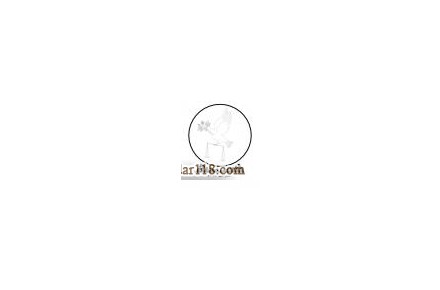 وکیل دادگستری - 1