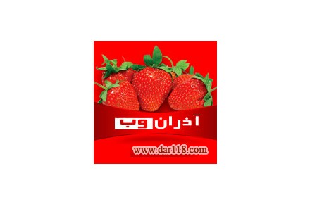 طراحی سایت -طراحی وب سایت-هاست-دامنه- - 1