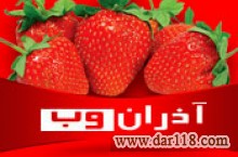 طراحی سایت -طراحی وب سایت-هاست-دامنه-