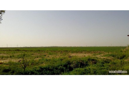۴۰هکتار زمین کشاورزی با سند شش دانگ در قزوین - تصویر شماره 1