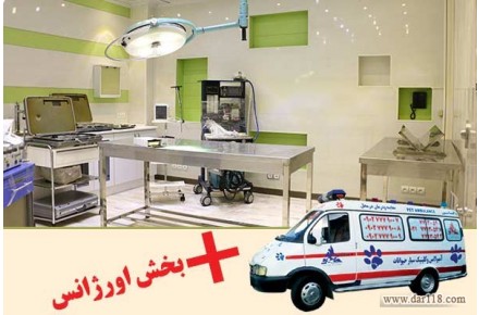بیمارستان دامپزشکی  و پت شاپ شبانه روزی درین - 3