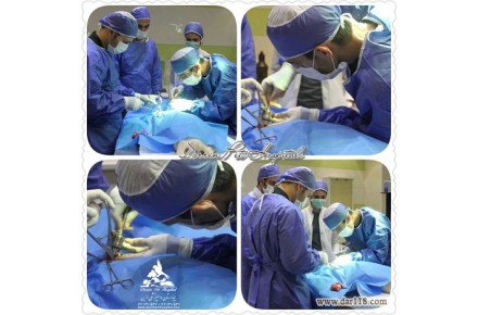 بیمارستان دامپزشکی  و پت شاپ شبانه روزی درین - 5