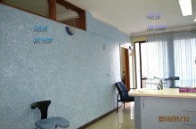 پوشش ابریشمی یاس